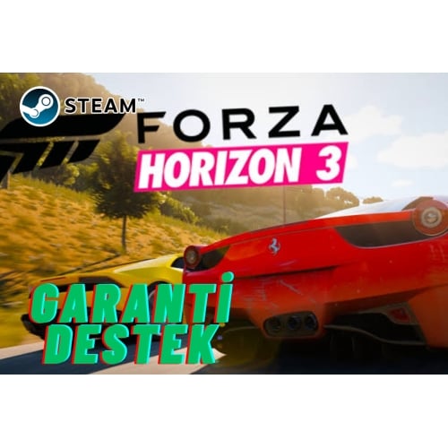  FORZA HORİZON 3 - KİŞİYE ÖZEL HESAP